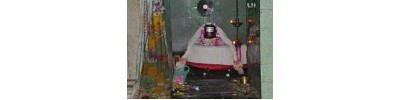 218. திருஎருக்கத்தம் புலியூர்